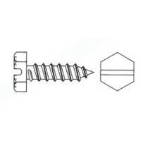 DIN7976 Blechschraube A2 A 4,9x13 mm